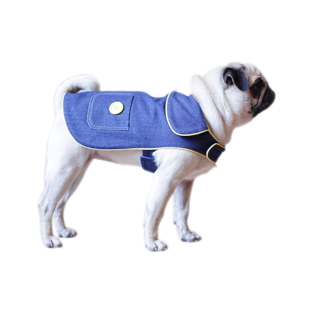 Denim 1 by Doggy Doo Little